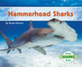 Hammerhead Sharks by Grace Hansen