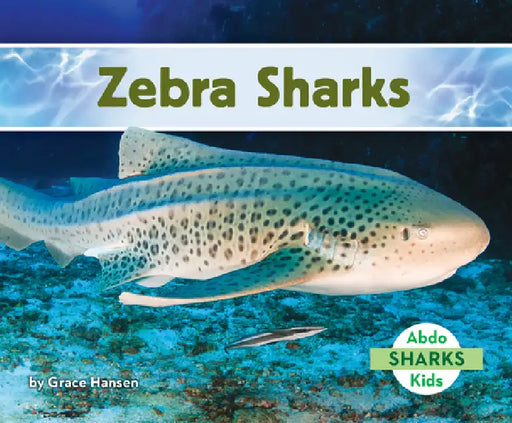 Zebra Sharks by Grace Hansen
