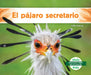 El Pájaro Secretario (Secretary Bird) by Julie Murray
