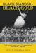 Black Diamond - Black Gold: The Danville Lady Tomahawks by Phyllis Adkisson-Smith