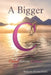 A Bigger C: Christ Versus Cancer by Terrence Feeney