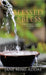 Blessed to Bless: Somebody Cared-Be Somebody by Addae, Jane Mimi