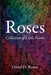 Roses by David H. Rosen