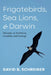 Frigatebirds, Sea Lions, and Darwin: Musings on Evolution, Creation, and Ecology by David B. Schreiner