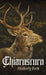 Chiaroscuro by Kimberly Beck