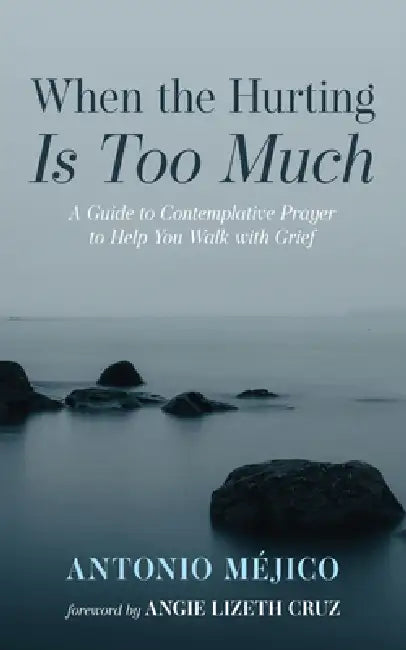 When the Hurting Is Too Much: A Guide to Contemplative Prayer to Help You Walk with Grief by Antonio Méjico, Angie Lizeth Cruz