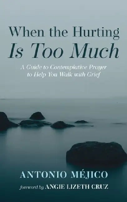 When the Hurting Is Too Much: A Guide to Contemplative Prayer to Help You Walk with Grief by Antonio Méjico, Angie Lizeth Cruz