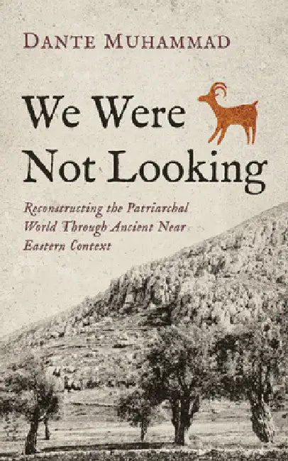 We Were Not Looking: Reconstructing the Patriarchal World Through Ancient Near Eastern Context by Dante Muhammad