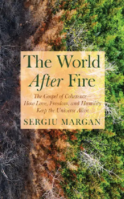 The World After Fire by Sergiu Margan