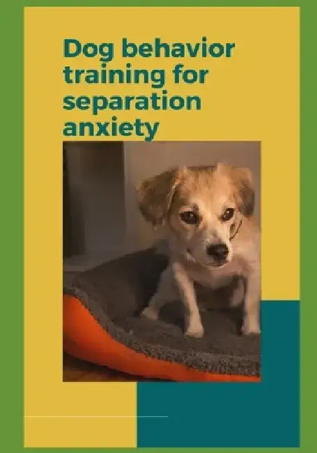 Dog behavior training for separation anxiety by Paul Fink