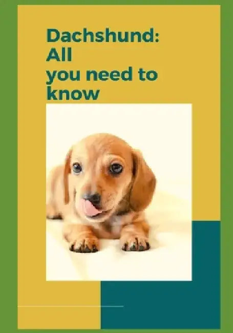 Dachshund: All you need to know! by Paul Fink
