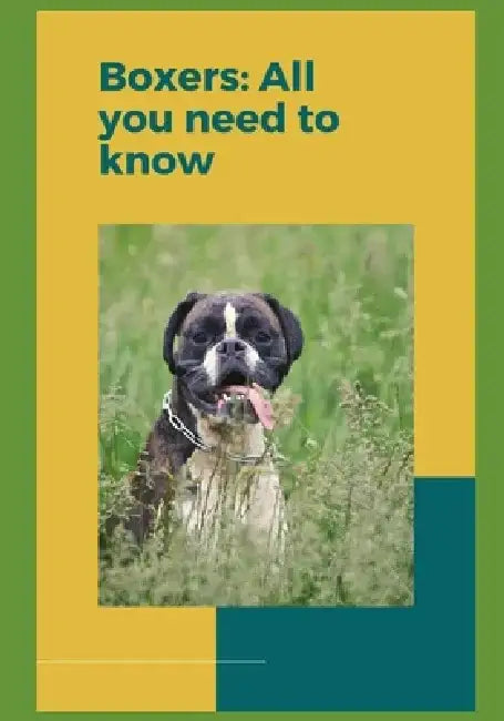 Boxers: All you need to know! by Paul Fink