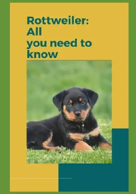 Rottweilers: All you need to know! by Paul Fink