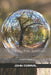 My Family Tree Terrarium: Prose & Poetry by John Corral