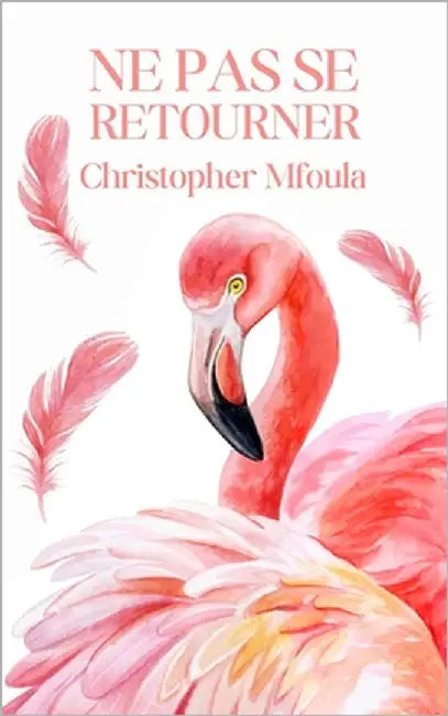 Ne Pas Se Retourner by Mfoula, Christopher