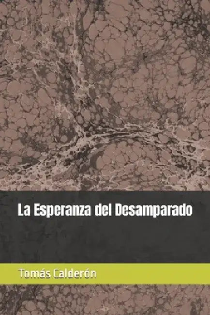 La Esperanza del Desamparado by Tomás Calderón