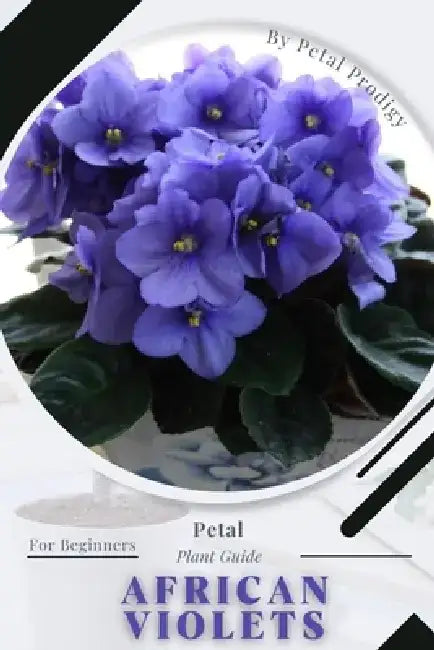 African Violets: Prodigy Petal, Plant Guide by Petal Prodigy