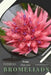Bromeliads: Prodigy Petal, Plant Guide by Petal Prodigy