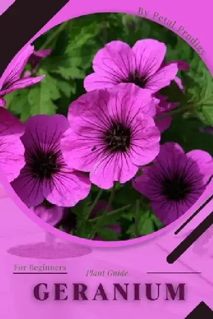 Geranium: Prodigy Petal, Plant Guide by Petal Prodigy