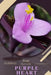 Purple Heart: Prodigy Petal, Plant Guide by Petal Prodigy