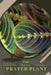 Prayer Plant: Prodigy Petal, Plant Guide by Petal Prodigy