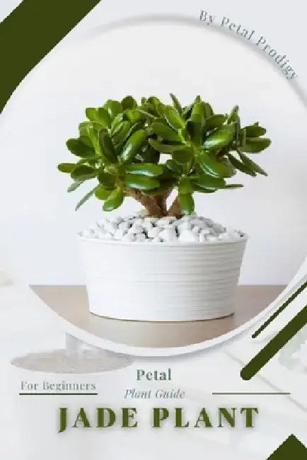 Jade Plant: Prodigy Petal, Plant Guide by Petal Prodigy