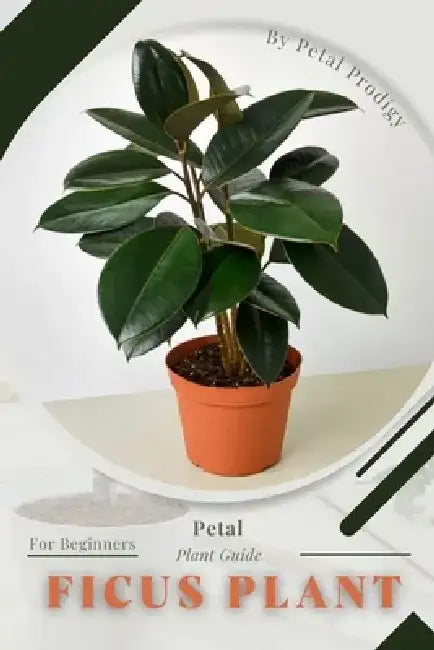Ficus Plant: Prodigy Petal, Plant Guide by Petal Prodigy