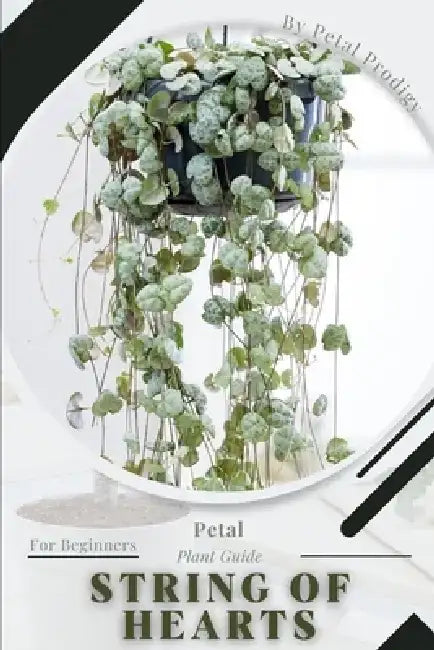 String of Hearts: Prodigy Petal, Plant Guide by Petal Prodigy