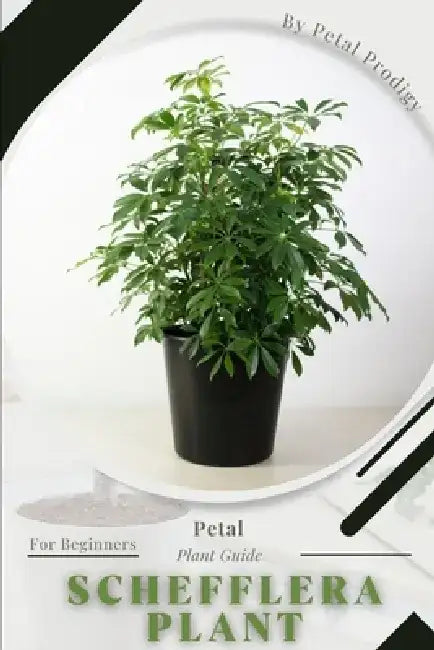 Schefflera Plant: Prodigy Petal, Plant Guide by Petal Prodigy