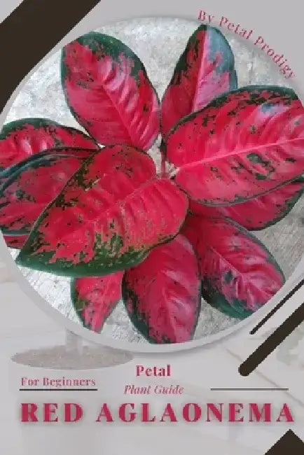 Red Aglaonema: Prodigy Petal, Plant Guide by Petal Prodigy