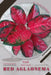 Red Aglaonema: Prodigy Petal, Plant Guide by Petal Prodigy