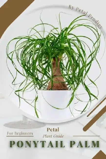 Ponytail Palm: Prodigy Petal, Plant Guide by Petal Prodigy