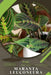 Maranta leuconeura: Prodigy Petal, Plant Guide by Petal Prodigy