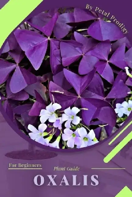Oxalis: Prodigy Petal, Plant Guide by Petal Prodigy