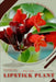 Lipstick Plant: Prodigy Petal, Plant Guide by Petal Prodigy