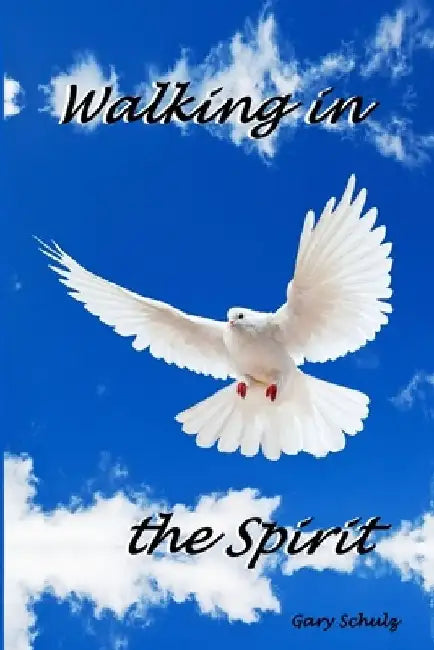 Walking in the Spirit by Gary Schulz