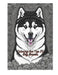 Coloring the Top 25 Dog Breeds by Pihu Singh