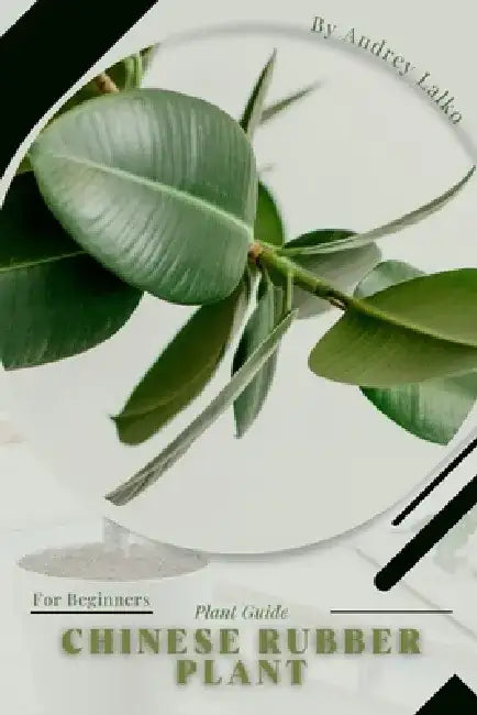 Chinese Rubber Plant: Plant Guide by Andrey Lalko