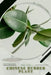 Chinese Rubber Plant: Plant Guide by Andrey Lalko