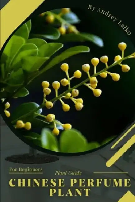 Chinese Perfume Plant: Plant Guide by Andrey Lalko