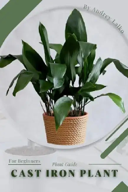 Cast Iron plant: Plant Guide by Andrey Lalko