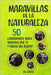 50 curiosidades ilustradas sobre animales que te dejarán sin aliento: Maravillas de la naturaleza by Salvaje, Zoe