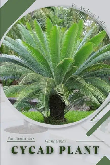 Cycad Plant: Plant Guide by Andrey Lalko