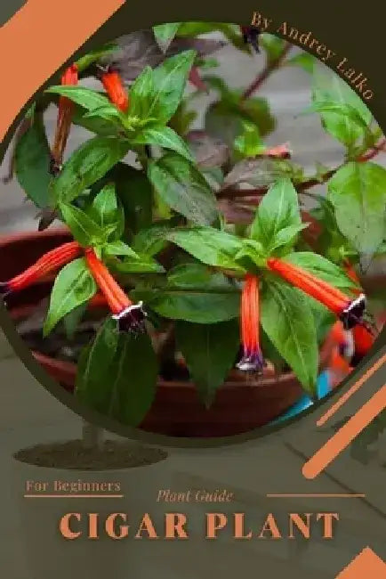 Cigar Plant: Plant Guide by Andrey Lalko