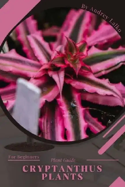 Cryptanthus Plants: Plant Guide by Andrey Lalko