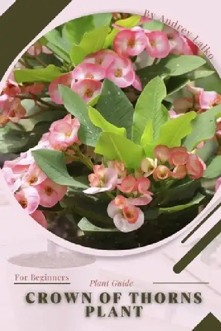 Crown of Thorns Plant: Plant Guide by Andrey Lalko