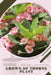Crown of Thorns Plant: Plant Guide by Andrey Lalko