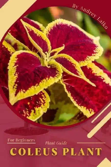 Coleus Plant: Plant Guide by Andrey Lalko
