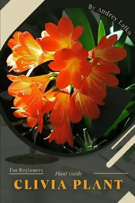 Clivia Plant: Plant Guide by Andrey Lalko