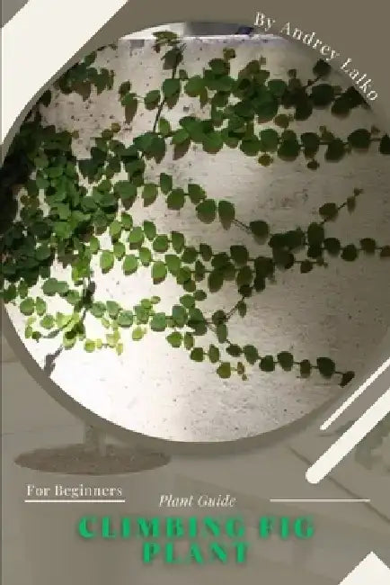 Climbing Fig Plant: Plant Guide by Andrey Lalko